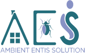 AES LOGO