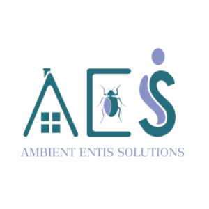 AMBIENT ENTIS SOLUTION (1)